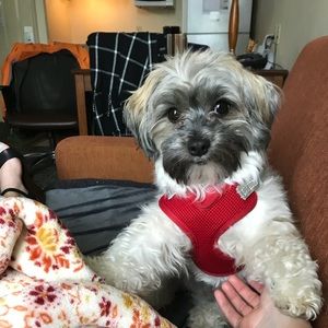 Meet your Posher, Emily